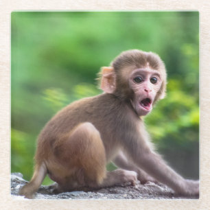 Dessous-de-verre En Verre Singe Bébé mignon et adorable