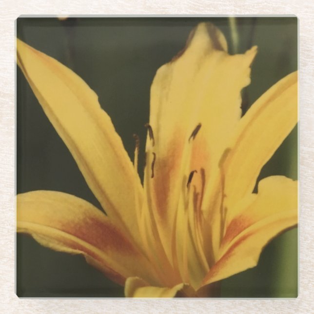 Dessous-de-verre En Verre Sous-tasse Fleur d'Hémérocalle (Devant)