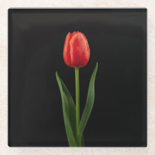Dessous-de-verre En Verre Sous-verre en verre Black 4 Luxe, Tulipe Rouge Rub