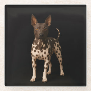 Dessous-de-verre En Verre Sous-verre en verre noir 4 Luxe, chien Terrier san