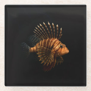 Dessous-de-verre En Verre Sous-verre en verre noir 4 Luxe, Poisson-lion roug
