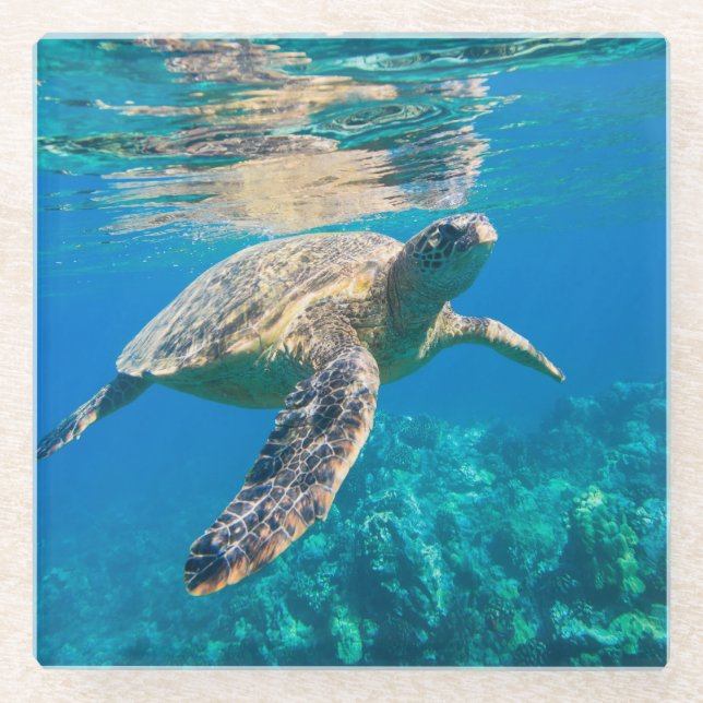 Dessous-de-verre En Verre Tortue de mer (Devant)