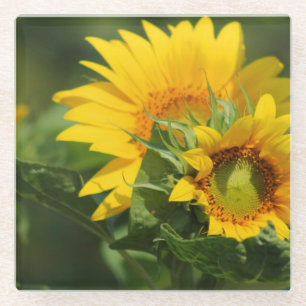 Dessous-de-verre En Verre Tournesol - Dessous de verre en verre