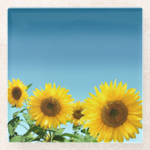 Dessous-de-verre En Verre Tournesols élégants sur des nuances de bleu ciel
