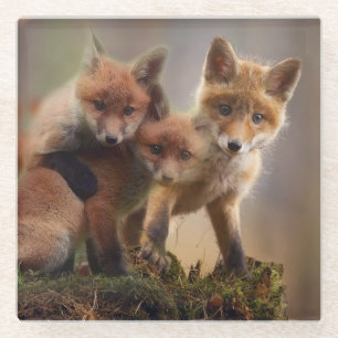 Dessous-de-verre En Verre Triplets Foxy