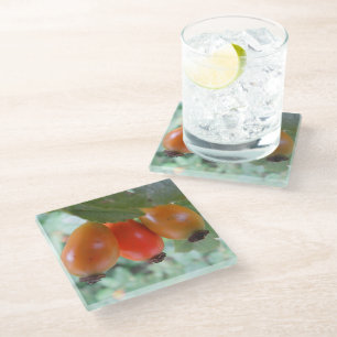 Dessous-de-verre En Verre Trois cynorrhodons orange