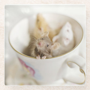 Dessous-de-verre En Verre Trois petites souris