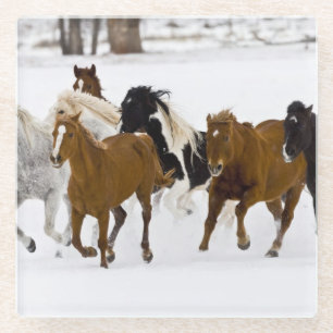 Dessous-de-verre En Verre Un paysage hivernal de chevaux au galop