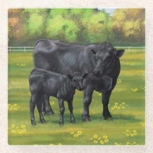 Dessous-de-verre En Verre Vache d'Angus noir et veau mou en pâturage d'été