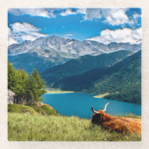 Dessous-de-verre En Verre Vache des Hautes-Terres-de-Montagne