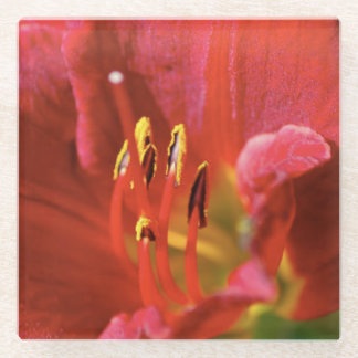 Dessous-de-verre En Verre Voir rouge