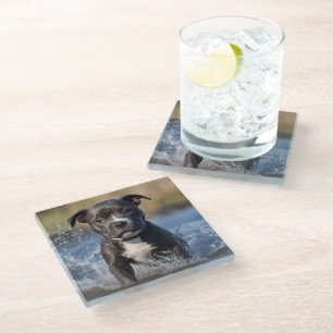 Dessous-de-verre En Verre "Wave Chaser : Un chiot robuste en jeu dans l'océa