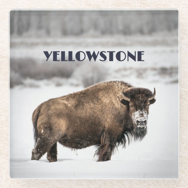 Dessous-de-verre En Verre Yellowstone Snowy Buffalo Souvenir Dessous de verr (Devant)