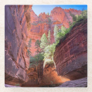 Dessous-de-verre En Verre Zion National Park, Utah, États-Unis