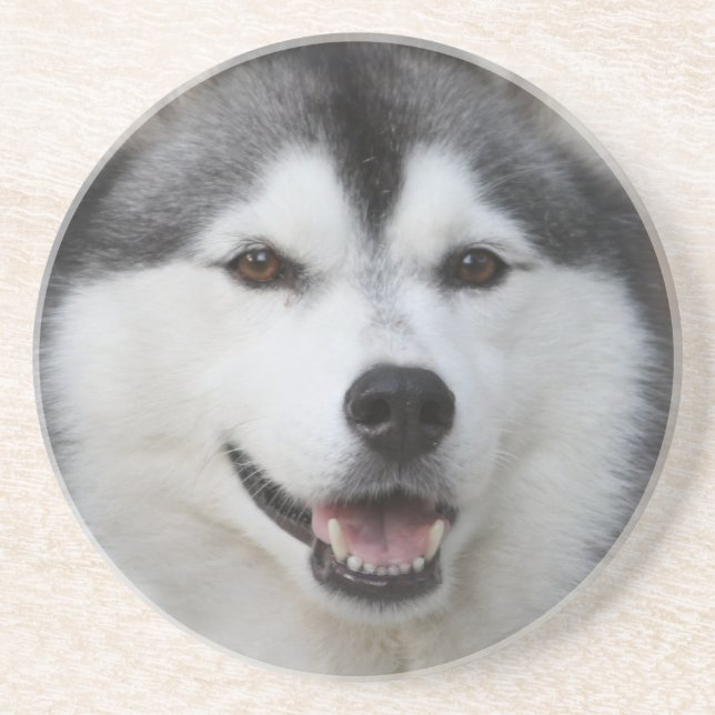 Dessous de verre enroués de chien (Devant)
