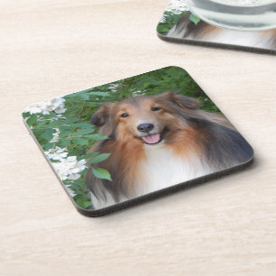 Dessous de verre - ensemble de 6 - avec Sheltie