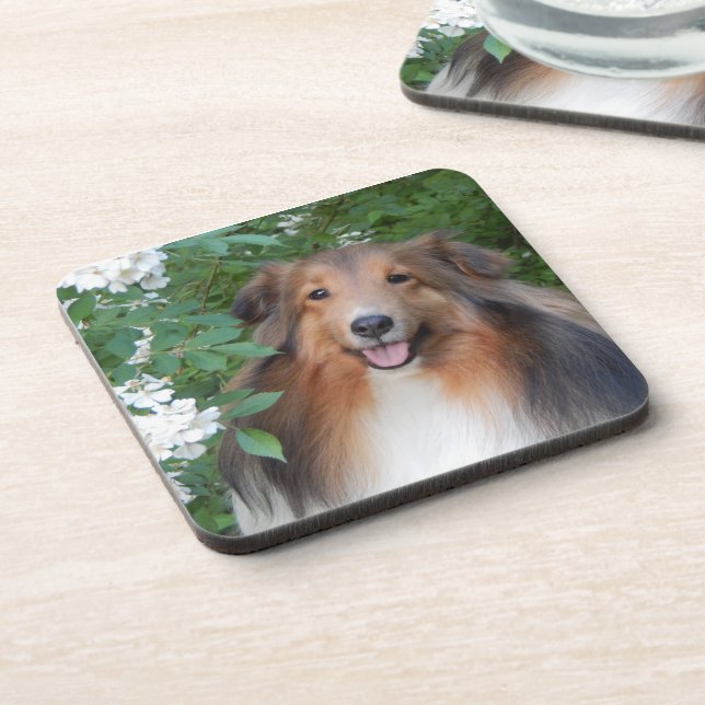 Dessous de verre - ensemble de 6 - avec Sheltie (Côté gauche)