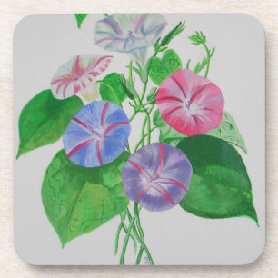 Dessous-de-verre Escalade colorée Matin Glory Botanical Art
