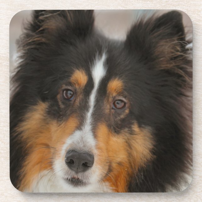 Dessous-de-verre Étagère (Devant)