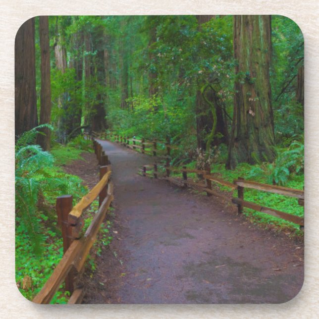 Dessous-de-verre États-Unis, Californie. Chemin parmi les séquoias (Devant)