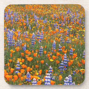Dessous-de-verre États-Unis, Californie, Santa Margarita, Avenales