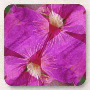 Dessous-de-verre États-Unis, Colorado, Boulder. Montage de fleurs d