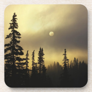 Dessous-de-verre États-Unis, Colorado, forêt nationale de San Isabe