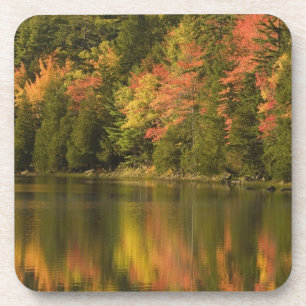Dessous-de-verre États-Unis; Maine; Parc national d'Acadia. Reflets