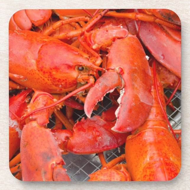 Dessous-de-verre États-Unis, Massachusetts, Martha's Vineyard (Devant)