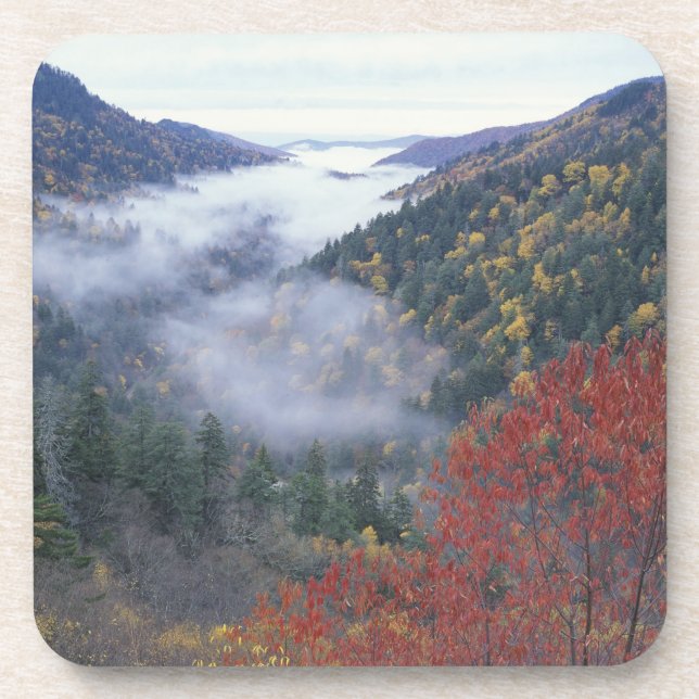 Dessous-de-verre États-Unis, Tennessee, Great Smokey Mountains Nati (Devant)