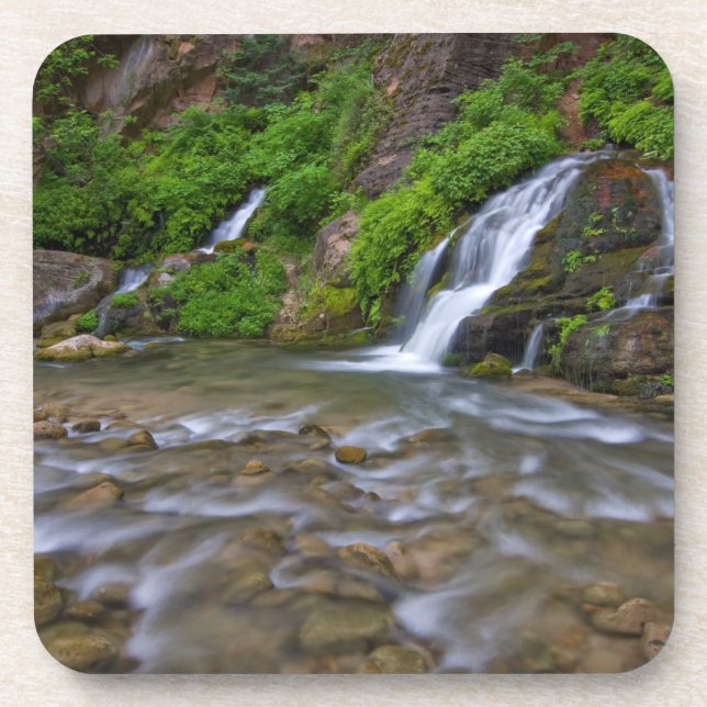 Dessous-de-verre États-Unis, Utah, Zion National Park.  Big Springs (Devant)