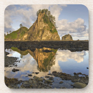 Dessous-de-verre États-Unis, Washington, Parc national Olympique.  