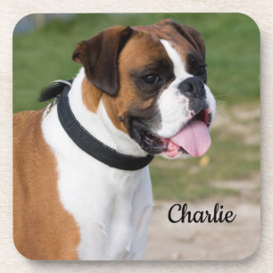 Dessous-de-verre Fawn and White Boxer Puppy Dog