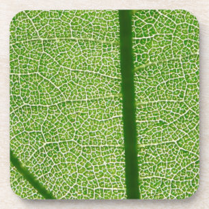 Dessous-de-verre Fermer la feuille verte