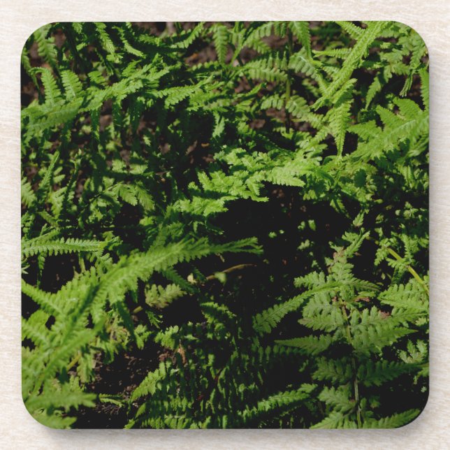 Dessous-de-verre Fermes du plancher forestier (Devant)