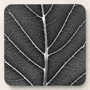 Dessous-de-verre Fermeture de la feuille brillante noire et blanche
