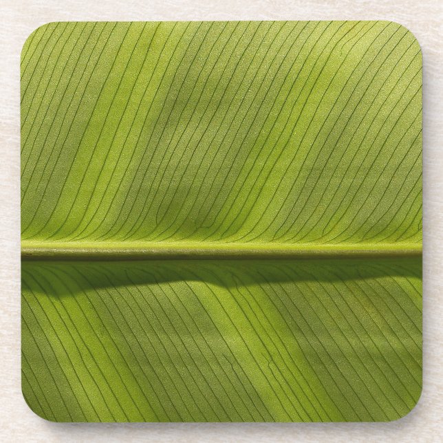 Dessous-de-verre feuille (Devant)