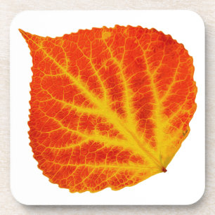 Dessous-de-verre Feuille d'Aspen rouge et jaune #10