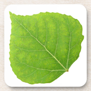 Dessous-de-verre Feuille d'Aspen vert #11
