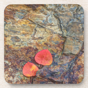 Dessous-de-verre Feuille d'automne sur rocher, Californie