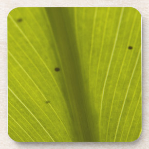 Dessous-de-verre Feuille Hawaiin vert gros