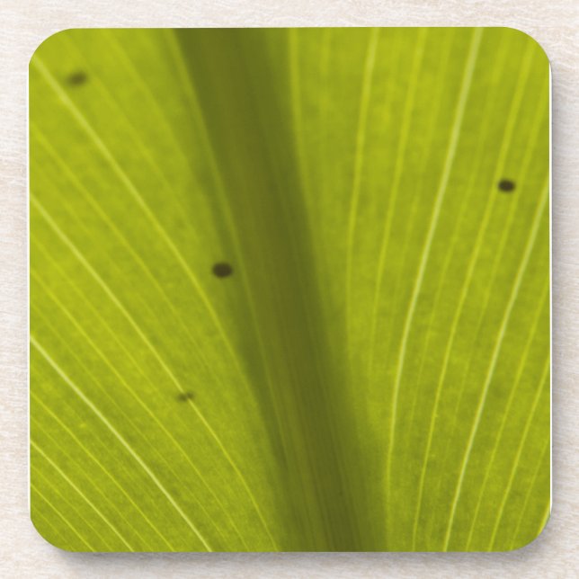 Dessous-de-verre Feuille Hawaiin vert gros (Devant)