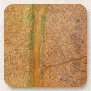 Dessous-de-verre Feuille tombée 11