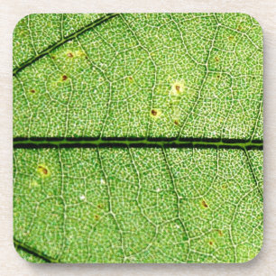 Dessous-de-verre Feuille verte extrême