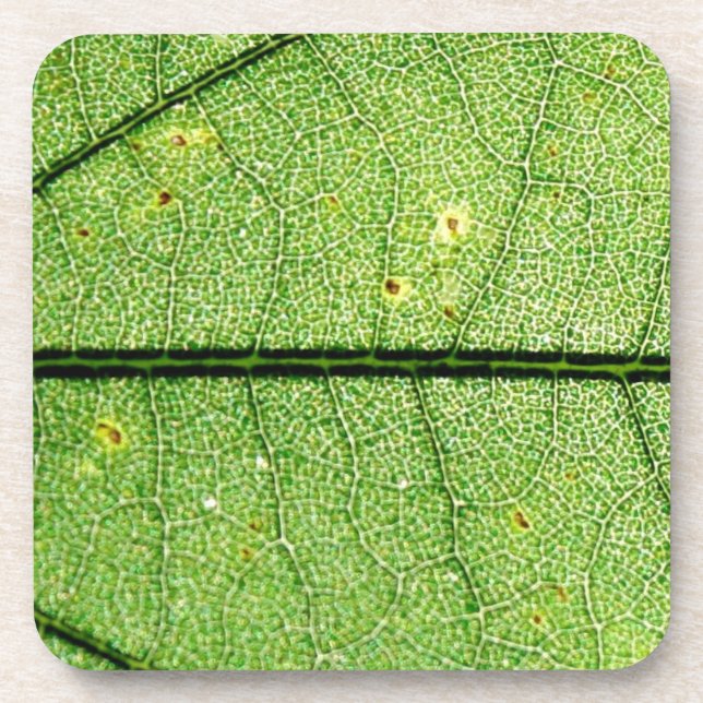 Dessous-de-verre Feuille verte extrême (Devant)