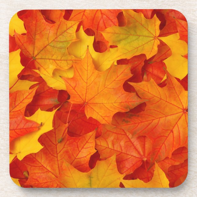 Dessous-de-verre Feuilles automnales (Devant)