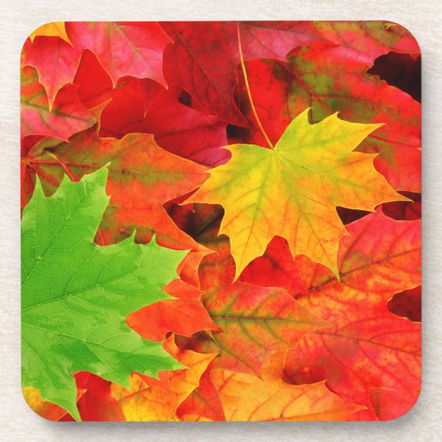 Dessous-de-verre Feuilles d'automne (Devant)