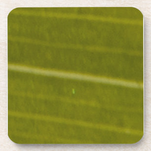 Dessous-de-verre Feuilles Hawaiiennes Variées Vertes