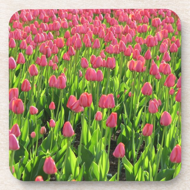 Dessous-de-verre Field of Pink Tulips (Devant)