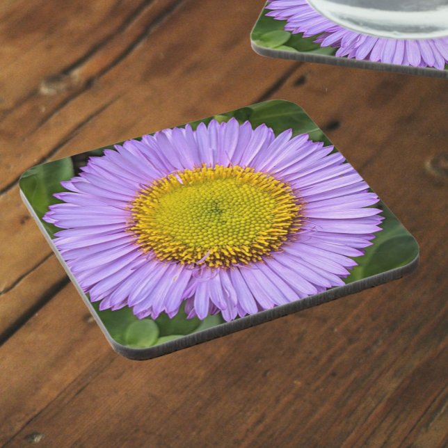 Dessous-de-verre Fleabane violet Daisy Floral (In Situ)